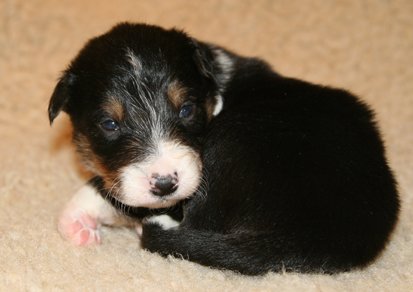 ilovemikie19daysold6.jpg