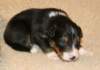 ilovemikie19daysold_small.jpg