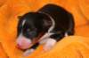 ilovemikie1dayold2_small.jpg