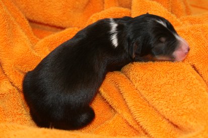 ilovemikie1dayold5.jpg