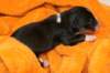ilovemikie1dayold7_small.jpg