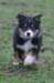 ilovemikie7weeksold_small.jpg