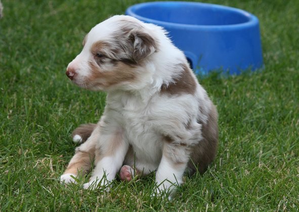 jollyvicky26daysold3.jpg