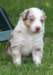 jollyvicky26daysold_small.jpg