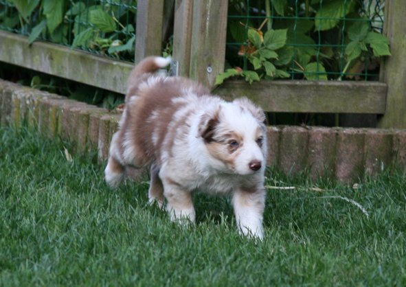jollyvicky39daysold.jpg