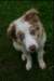 jollyvicky3monthsold14_small.jpg