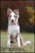 jollyvicky5monthsoldatmajasplace4_small.jpg