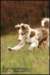 jollyvicky5monthsoldatmajasplace5_small.jpg