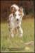 jollyvicky5monthsoldatmajasplace9_small.jpg