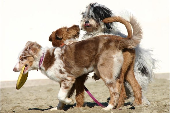 jollyvicky5monthsoldattheseaside15.jpg