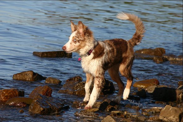 jollyvicky5monthsoldattheseaside3.jpg