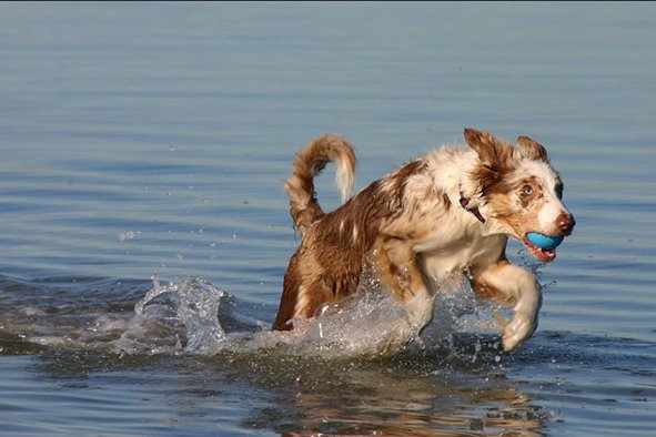 jollyvicky5monthsoldattheseaside5.jpg