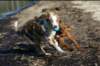 jollyvicky5monthsoldattheseaside8_small.jpg