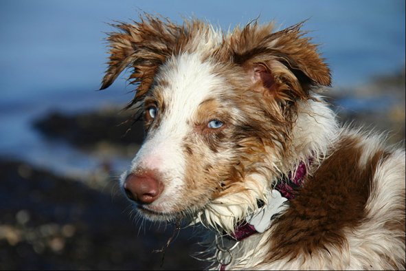 jollyvicky5monthsoldattheseaside9.jpg