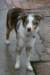 jollyvicky6monthsold_small.jpg