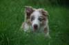 vicky4monthsold_small.jpg