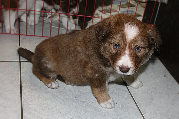 a01kami33daysold.jpg
