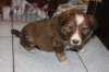 a01kami33daysold_small.jpg