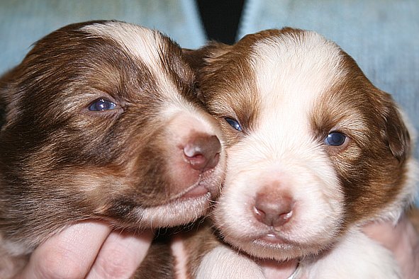 a01kaminim17daysold.jpg