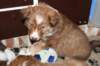 a03kami41daysold_small.jpg