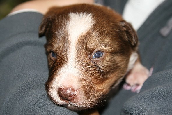 a04kami17daysold.jpg