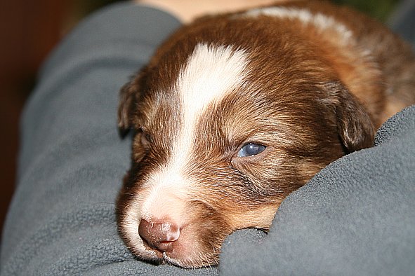 a05kami17daysold.jpg