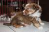 a05kami33daysold_small.jpg