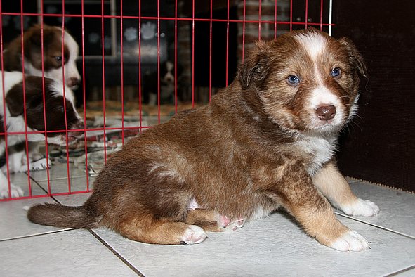 a06kami33daysold.jpg