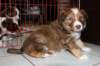a06kami33daysold_small.jpg