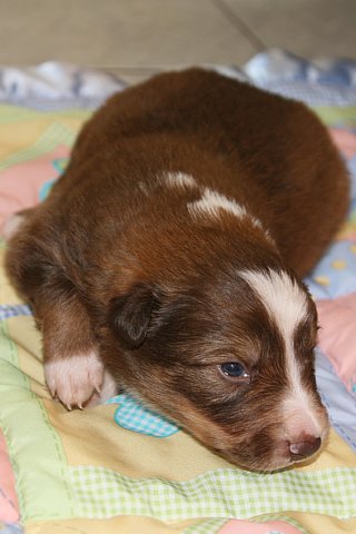 a07kami17daysold.jpg