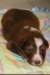 a08kami17daysold_small.jpg