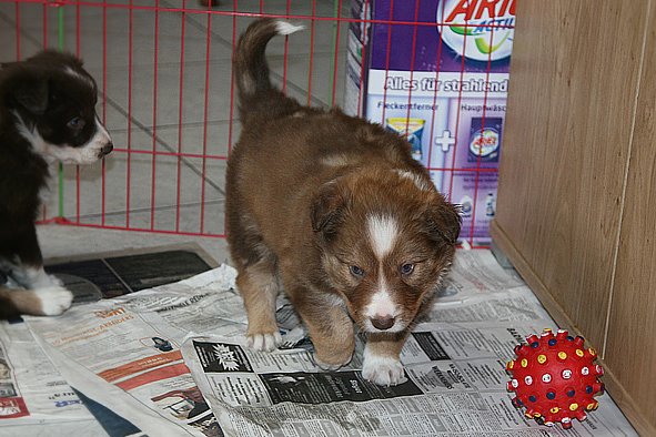 a08kami33daysold.jpg