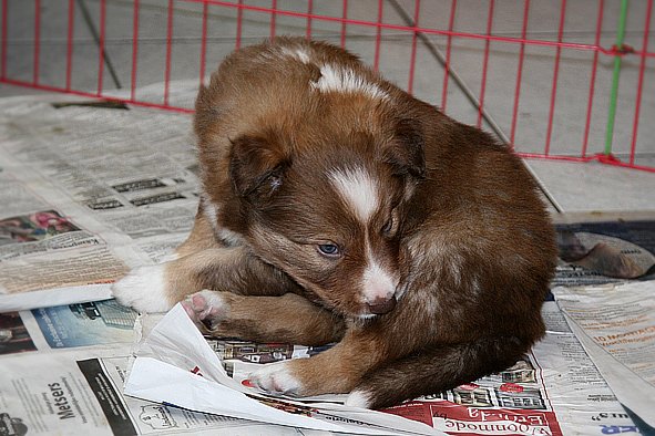 a09kami33daysold.jpg