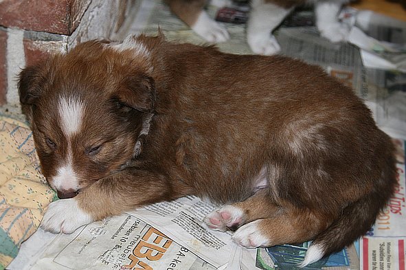 a12kami33daysold.jpg