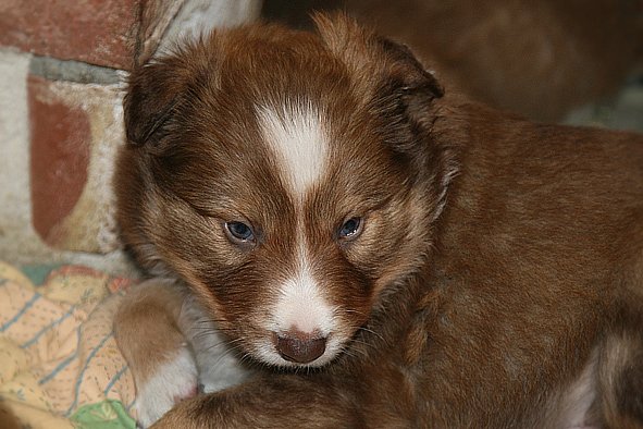 a13kami33daysold.jpg