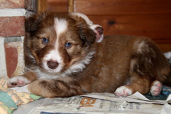 a15kami33daysold.jpg