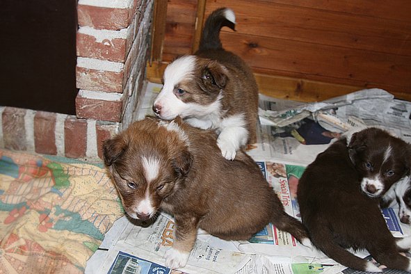 a23kamiquin33daysold.jpg