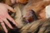 birthofkamikaze0901113_small.jpg