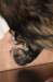birthofkamikaze0901114_small.jpg