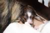 birthofkamikaze0901116_small.jpg