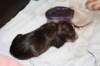 birthofkamikaze0901118_small.jpg