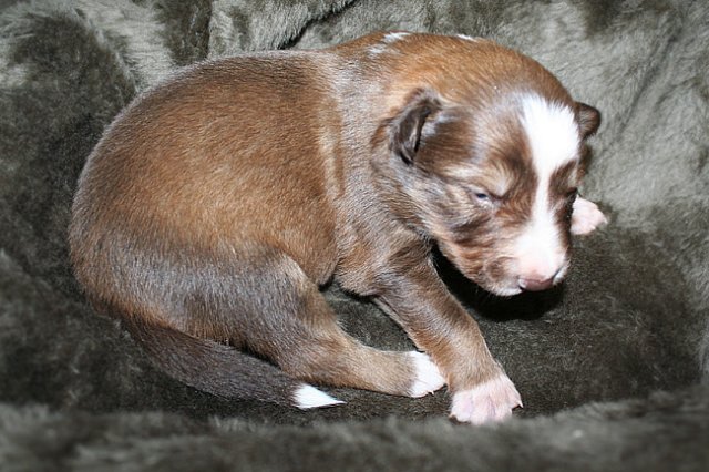 kami15daysold.jpg