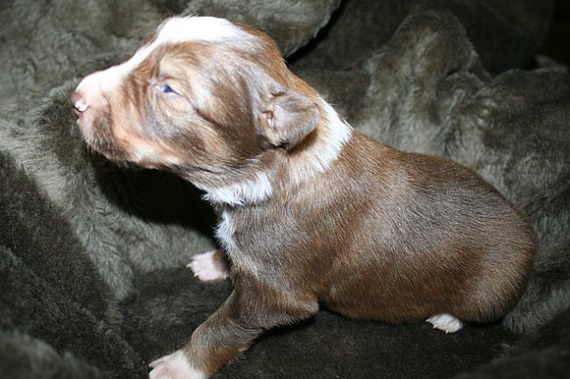 kami15daysold7.jpg