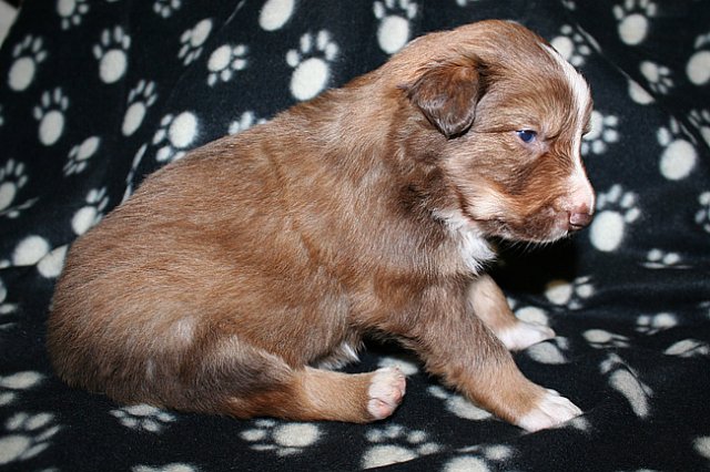 kami25daysold.jpg