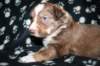kami25daysold10_small.jpg