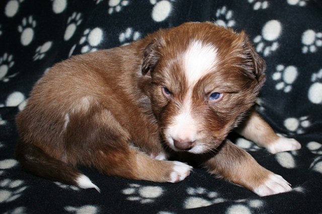 kami25daysold2.jpg