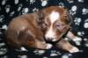 kami25daysold2_small.jpg