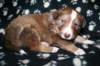 kami25daysold3_small.jpg