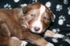 kami25daysold4_small.jpg