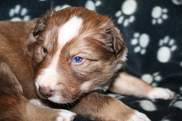 kami25daysold5.jpg